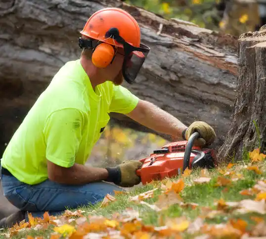 tree services Circleville